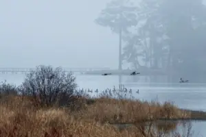 Fog rising of the lake.