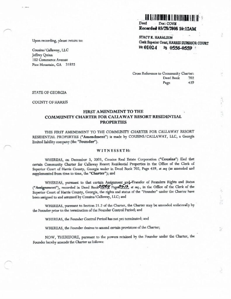 thumbnail of First Amendment to Charter